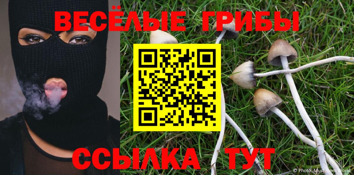 Галлюциногенные грибы Psilocybe Кировск