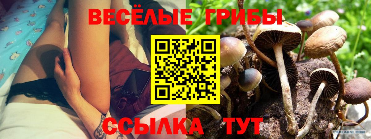 где купить   Вход с VPN  Кировск  Галлюциногенные грибы мухоморы 